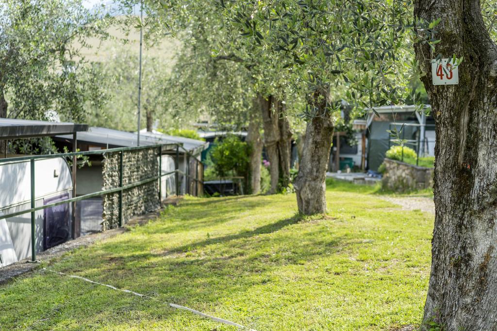 Monja Camping Village ブレンゾーネ エクステリア 写真